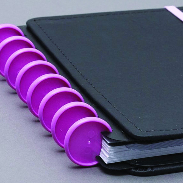 Discos e elástico rosa para o Caderno Inteligente